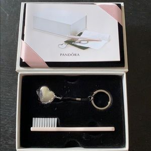 Pandora cleaning kit